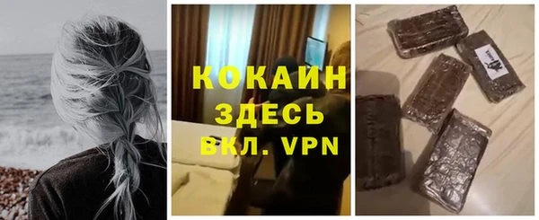 сатива Верея