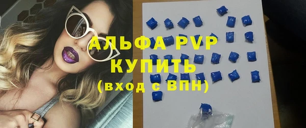 сатива Верея