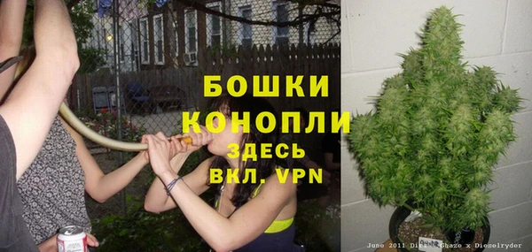 мяу мяу мука Волоколамск