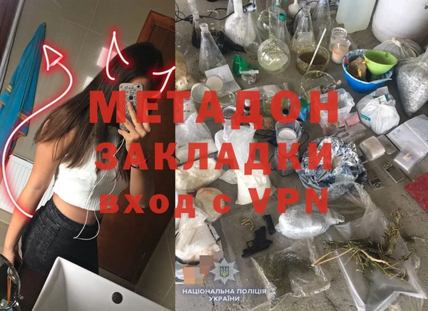 сатива Верея