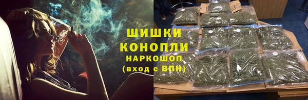сатива Верея