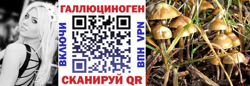 ссылка на мегу как войти  Сафоново  Псилоцибиновые грибы GOLDEN TEACHER 